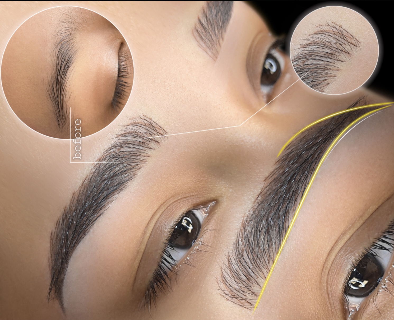 ComboBrows  Tampa — ComboBrows 