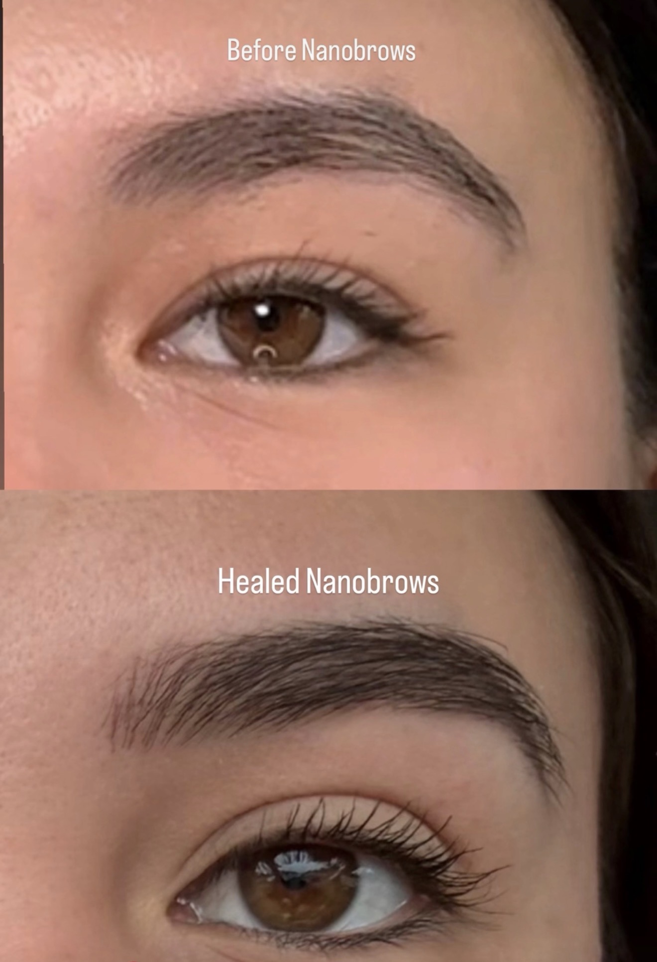 Healed  Tampa — Healed  · Healed