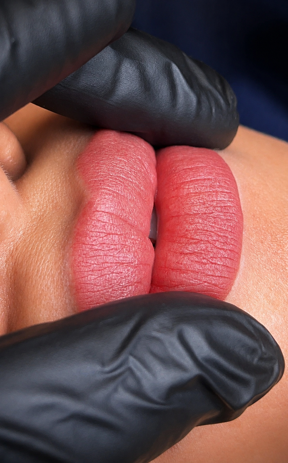 Lipblush  Tampa — Lipblush 