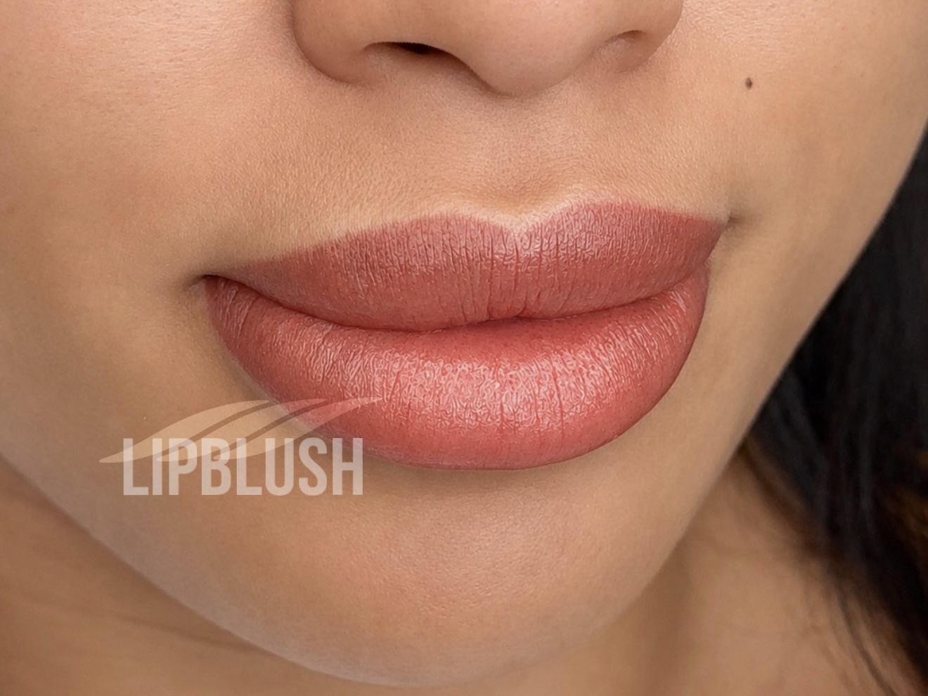 Lipblush  Tampa — Lipblush 