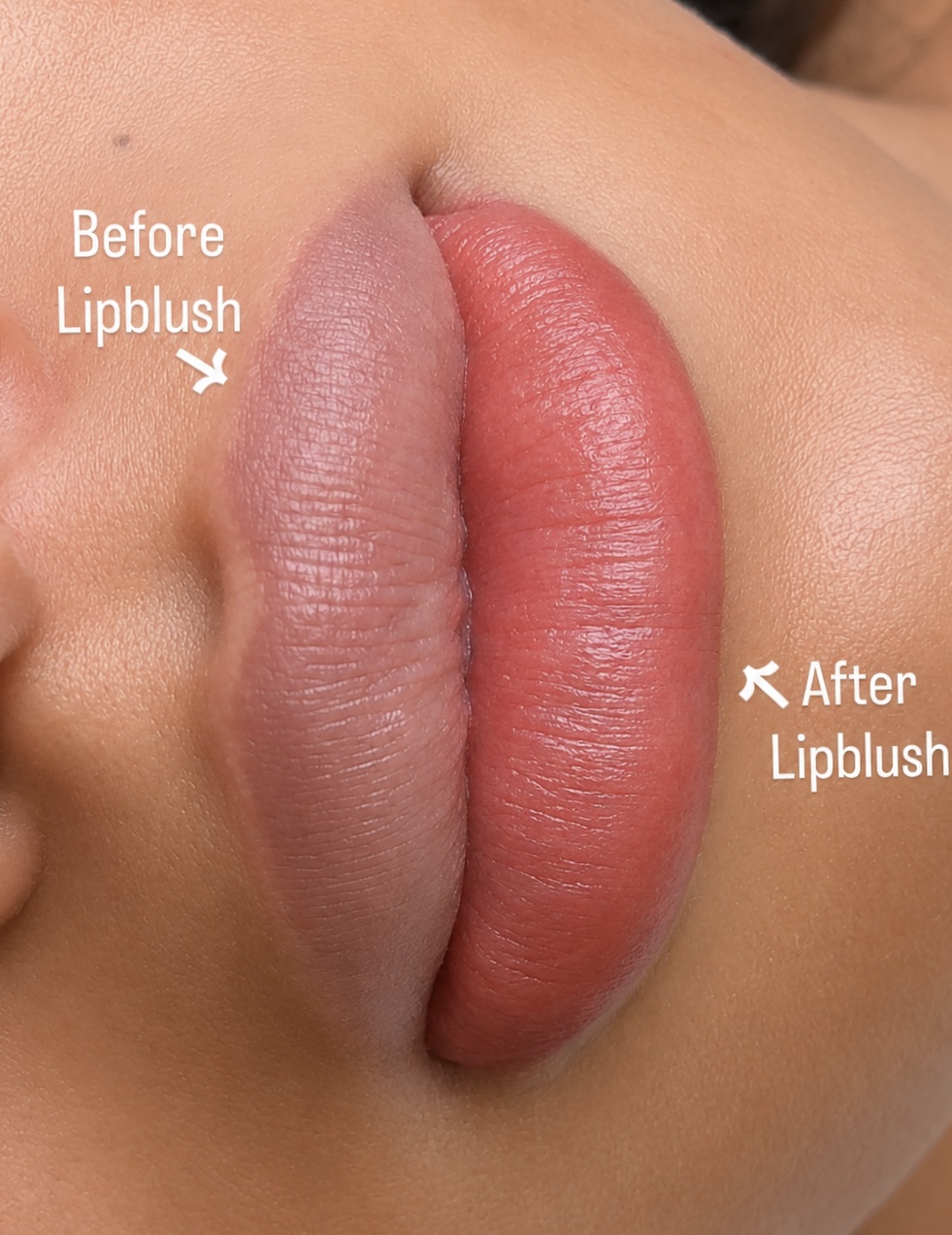 Lipblush  Tampa — Lipblush 