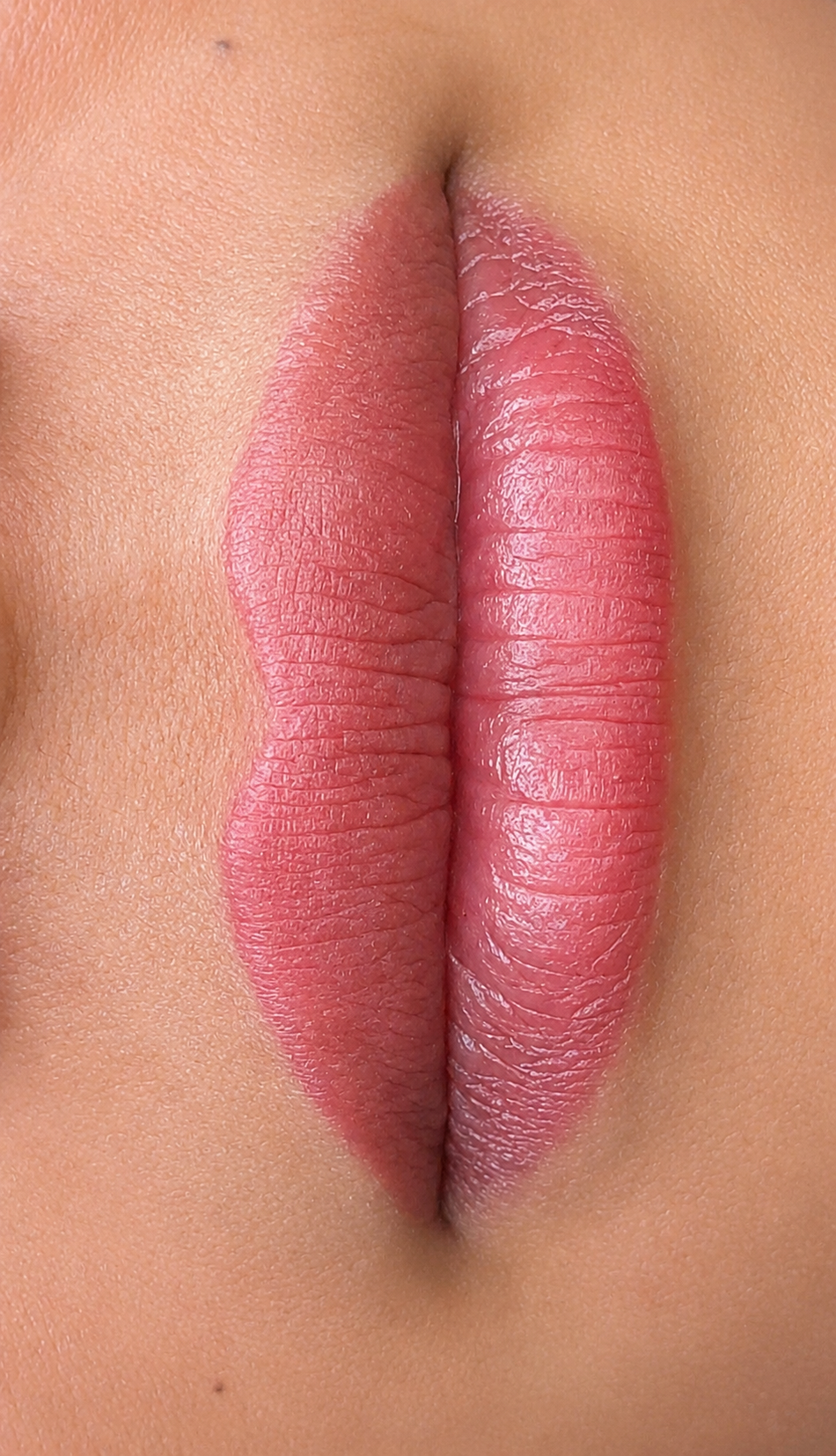 Lipblush  Tampa — Lipblush 
