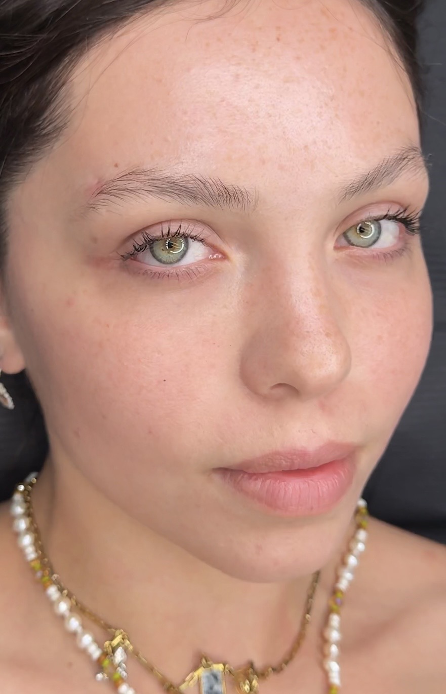 Nanobrows  Tampa — Nanobrows 