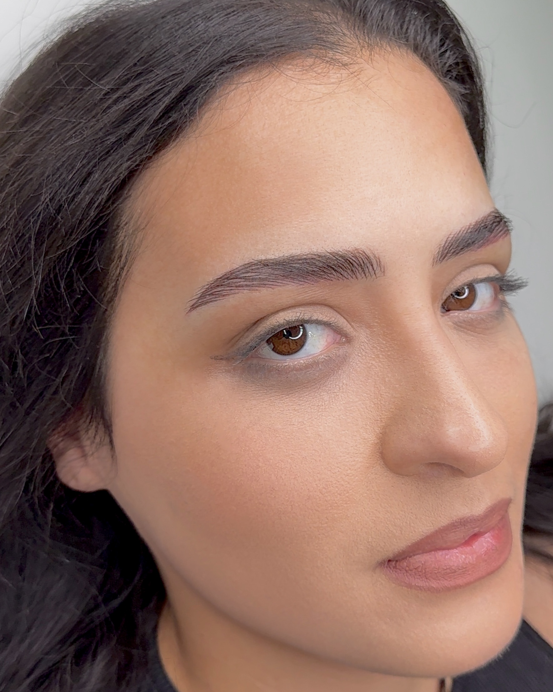 Nanobrows  Tampa — Nanobrows 