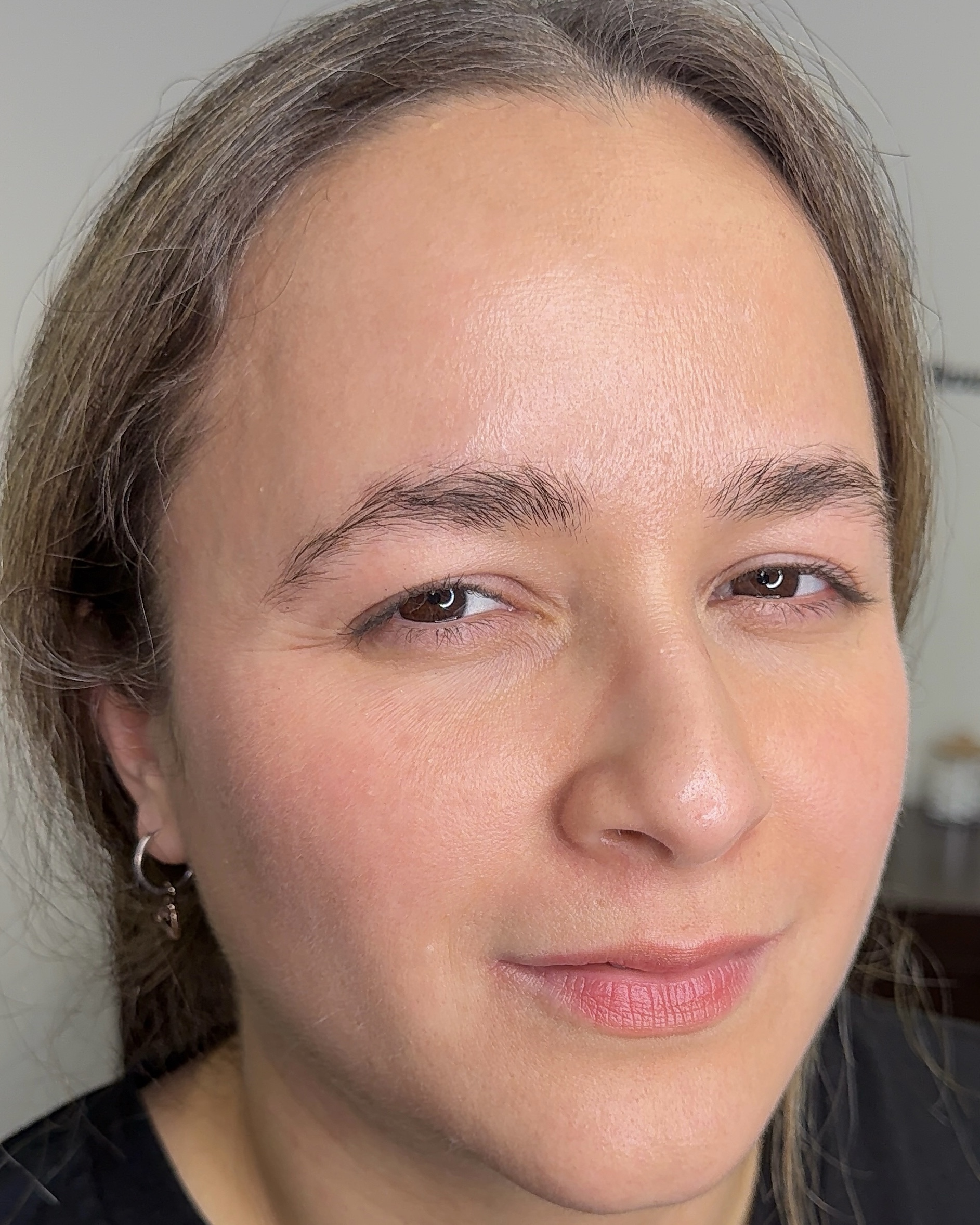 Nanobrows  Tampa — Nanobrows 